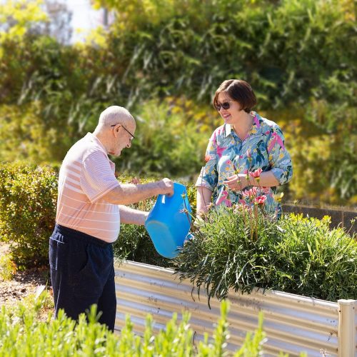 HG-gardening with a resident